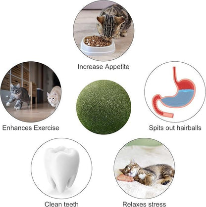 Cat Mint Toy Ball